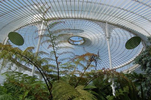 Kibble Palace and the hothouses at Glasgow Botanical Gardens offer the perfect setting for this unique workshop. Drawing on the senses and observation, you will be given fun and stimulating writing exercises. And there is home baking. £35 paid on the day, cash only. E-mail writeherewritenowworkshops@gmail.com to book your space, and remember to Like on Facebook.